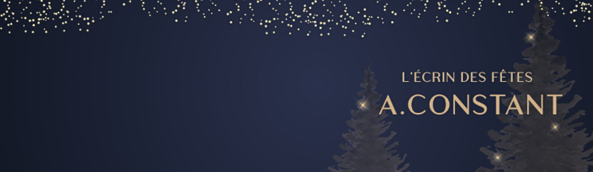 Découvrez notre sélection d'idées cadeaux