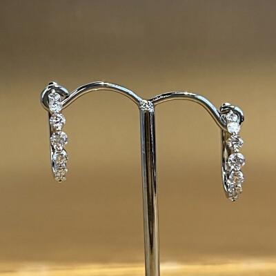 Boucles d’oreilles en or blanc et diamants