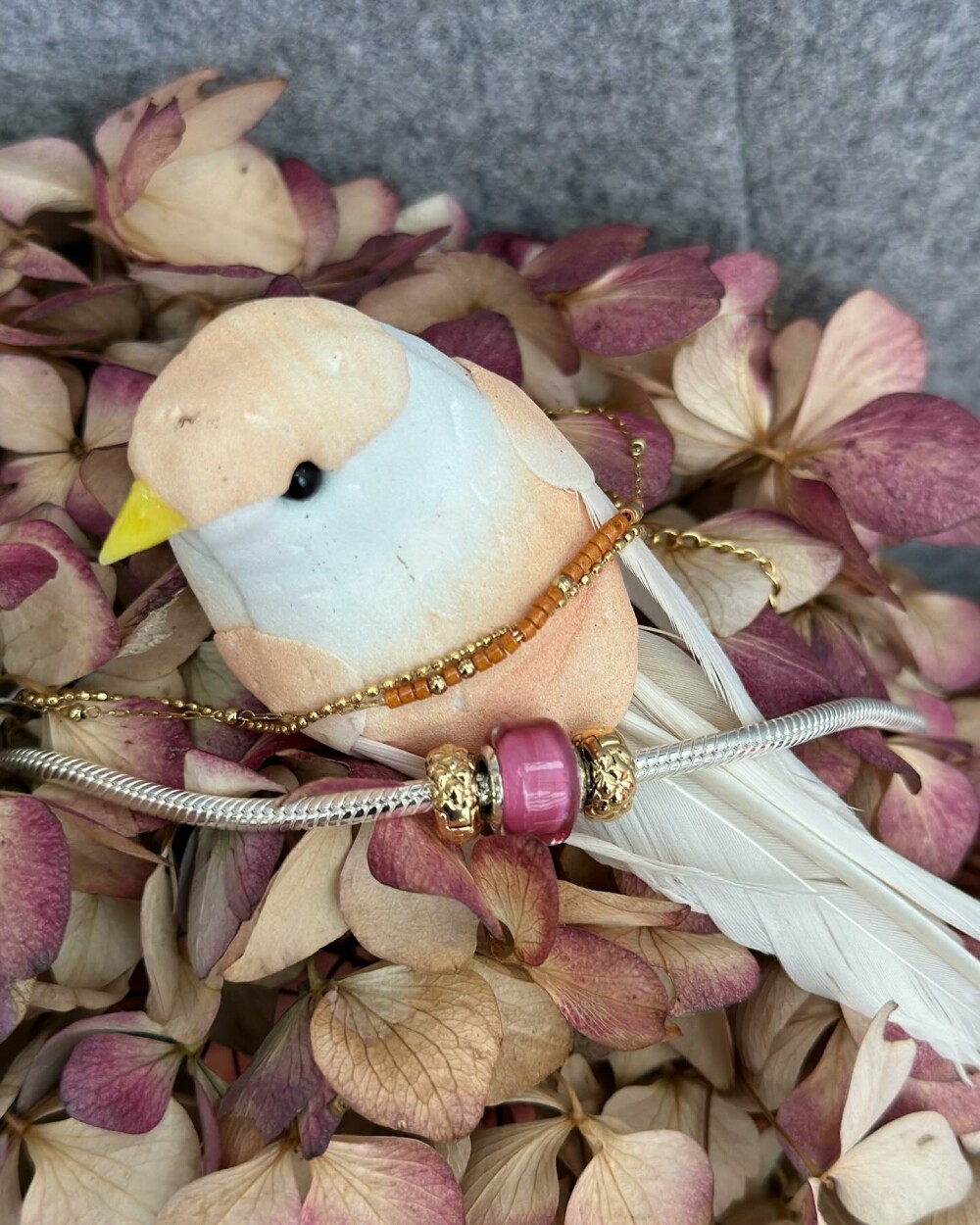 Retrouvez-nous sur instagram