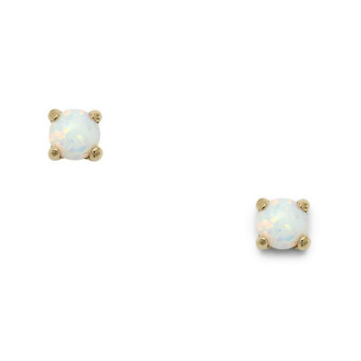 Boucles D'oreilles Irisées Fossil