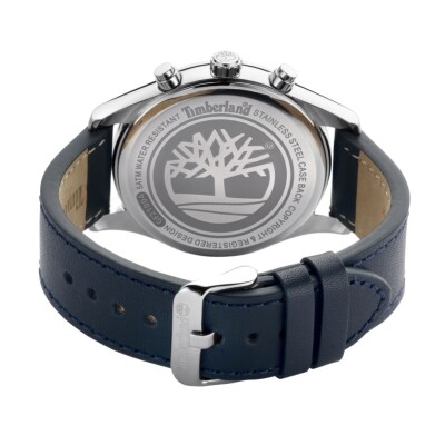 Montre Timberland Demarest TDWGF2100401
