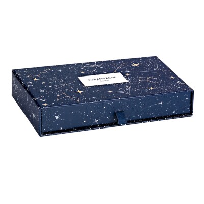 Coffret Caran d'Ache ECRIDOR™ COSMIC BLUE Stylo Bille & Étui en Cuir - Édition Spéciale