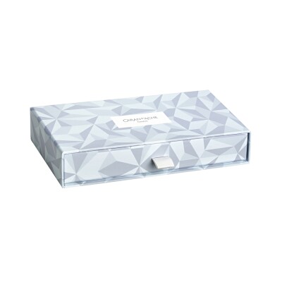 Stylo Bille CARAN D'ACHE Léman™ Alpine Frost - 2025