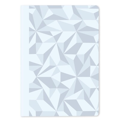Carnet CARAN D'ACHE ligné A5 Alpine Frost