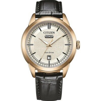 Montre Citizen ELEGANCE CLASSIC Eco-Drive GOLD AW0153-04AC