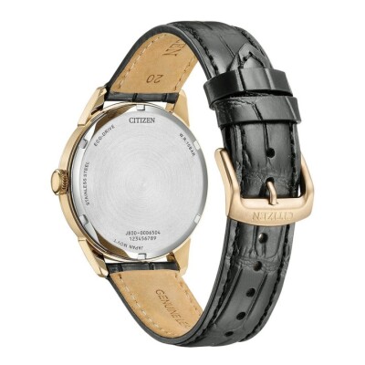 Montre Citizen ELEGANCE CLASSIC Eco-Drive GOLD AW0153-04AC