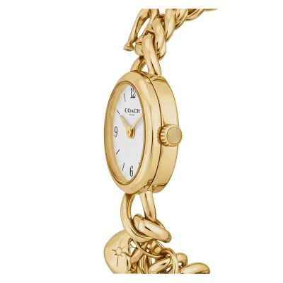 Montre Coach Iris Blanc 14504648