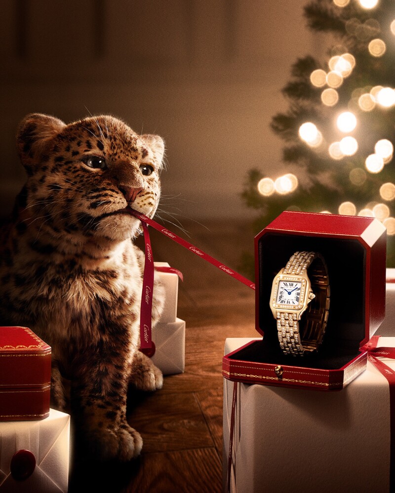 Retrouvez-nous sur instagram