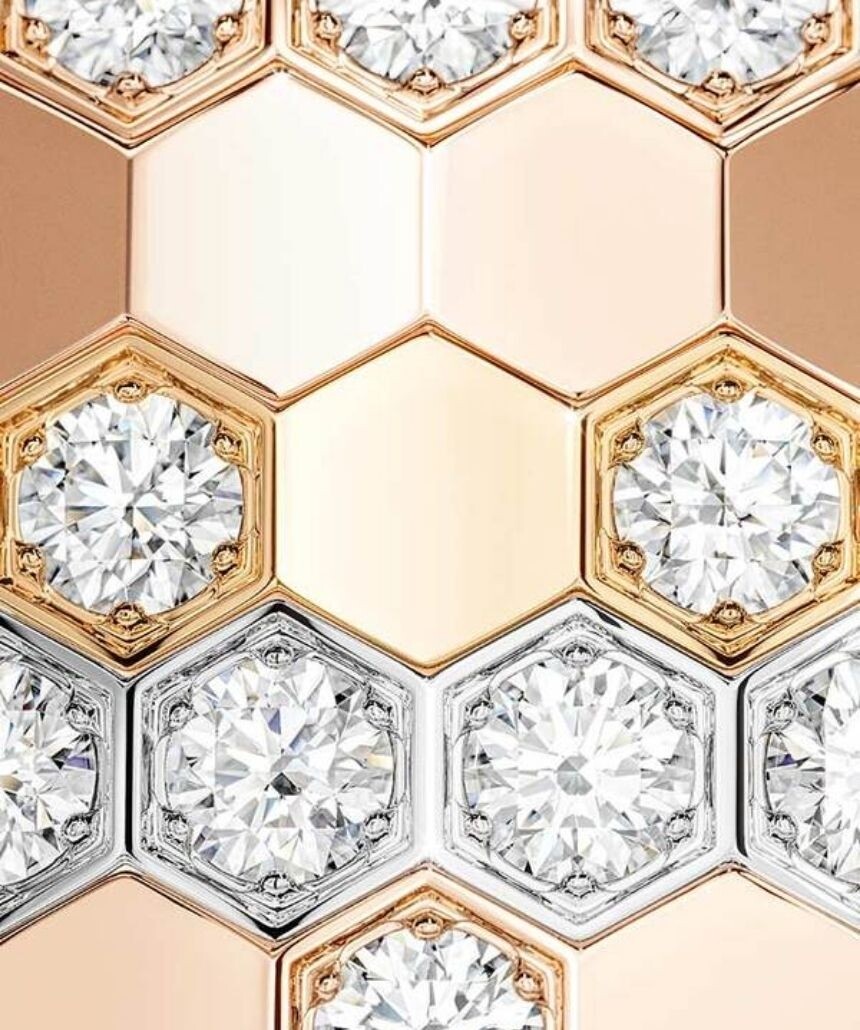 DECOUVREZ LA COLLECTION BEE