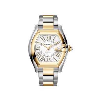 Montre Roadster Grand modèle, mouvement automatique, or jaune, acier, bracelets métal et cuir interchangeables