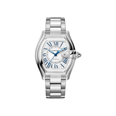 Montre Roadster Moyen modèle, mouvement automatique, acier, bracelets métal et cuir interchangeables