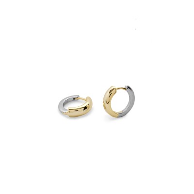Boucles d'oreilles en argent et argent doré