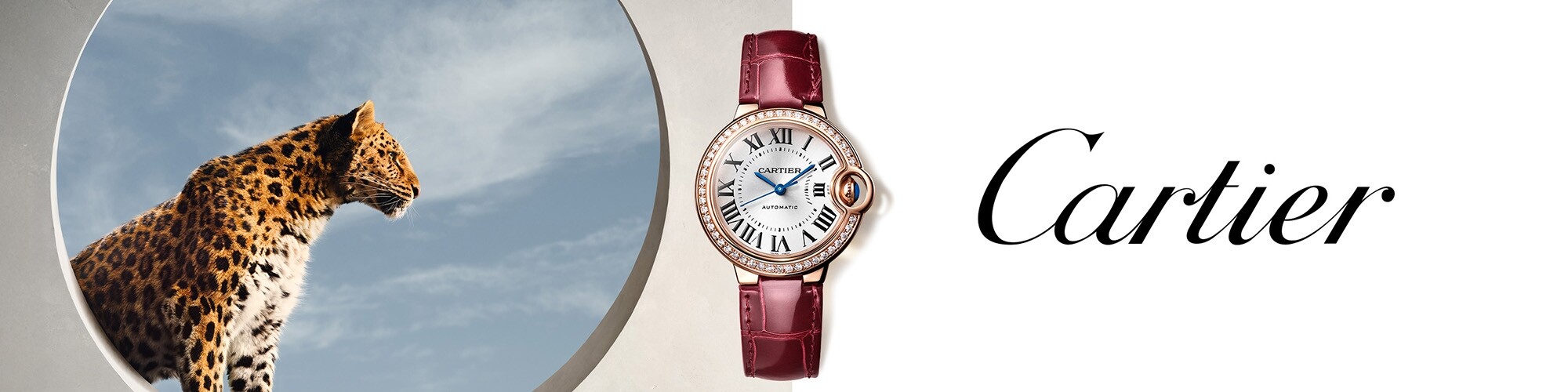 Montres de la marque Cartier