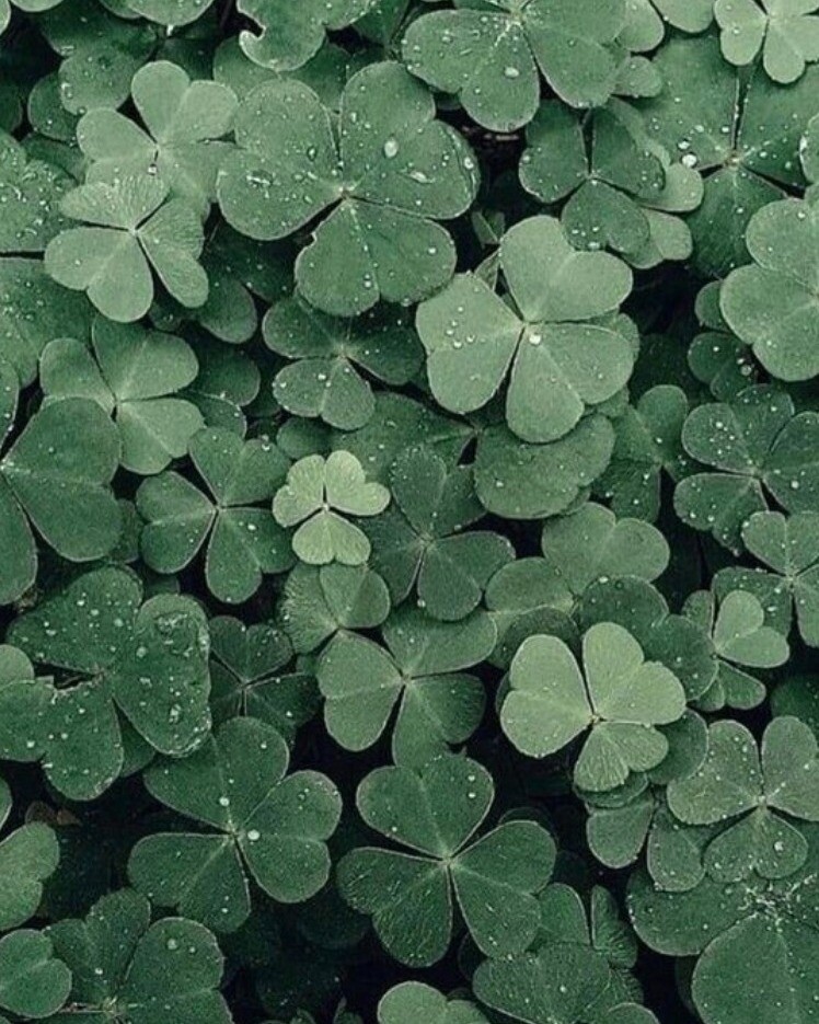 Instagram - Joaillerie Favre