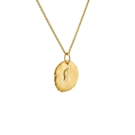 Arthus Bertrand Les Médailles Astro Capricorn necklace in sandblasted yellow gold 23mm and Forçat Rond chain in yellow gold 50cm