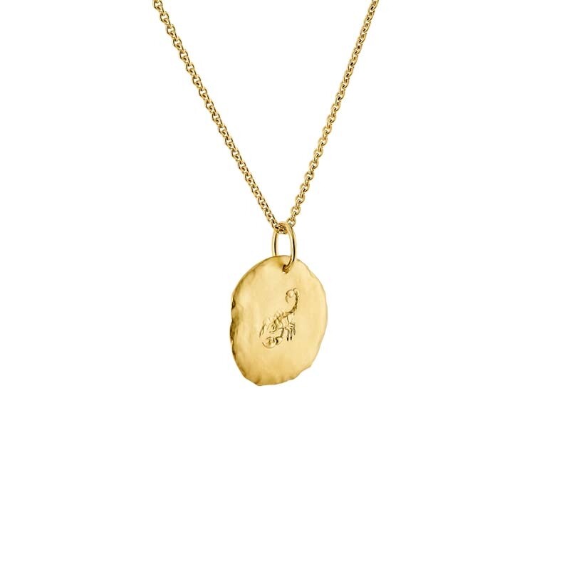 Arthus Bertrand Les Médailles Astro Scorpio necklace in sandblasted yellow gold 23mm and Forçat Rond chain in yellow gold 50cm