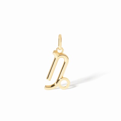 Pendentif dinh van Les Signes - Capricorne