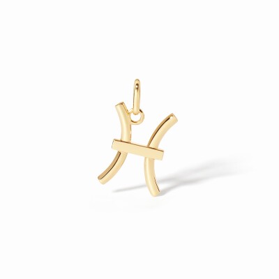 Pendentif dinh van Les Signes - Poissons