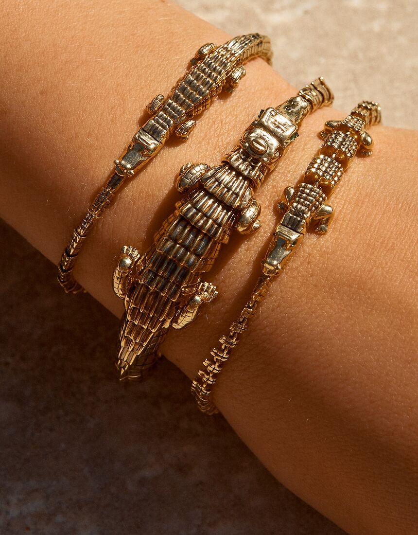 Collection Alligator