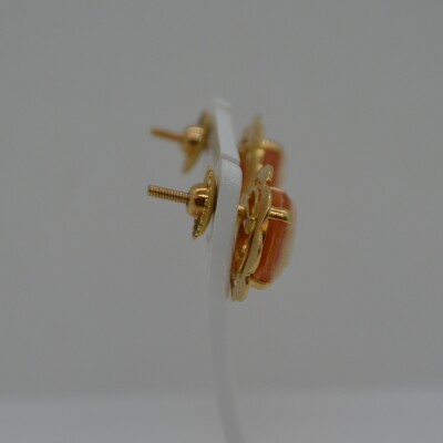 Boucles d'oreilles Camée