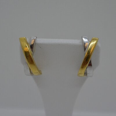 Boucles bicolore 2 brins