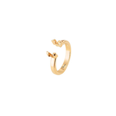 Bague Interchangeable Poiray Ma Préférence anneau fin or jaune