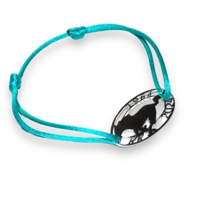 R-Racing, Mustang Argent Poli