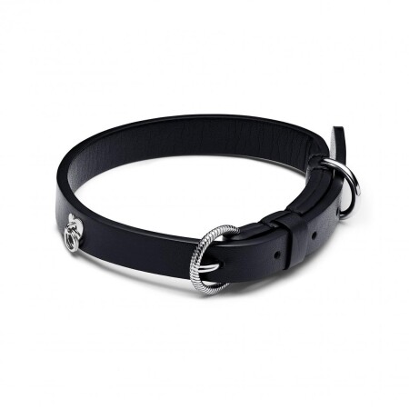 Collier Sans Cuir pour Animaux Noir