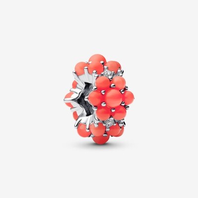 Charm Océan Couleur Corail