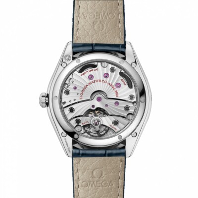 Montre OMEGA De Ville Trésor Co-Axial Master Chronometer 40mm