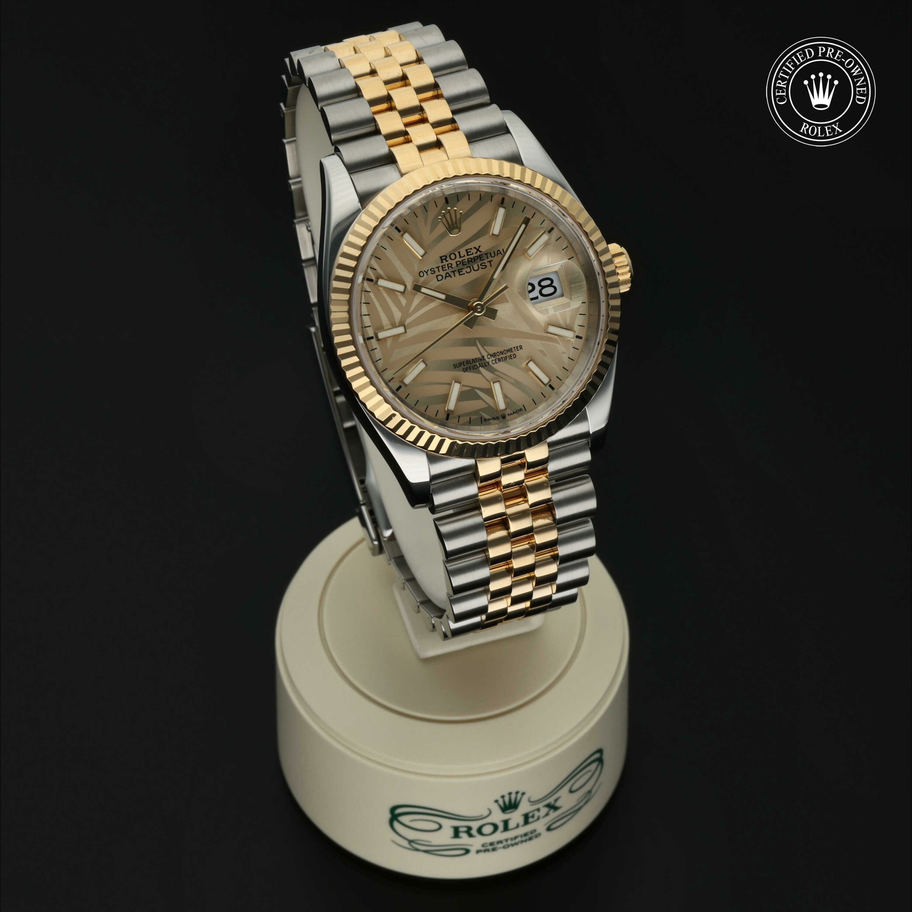 Rolex Datejust 36 en Rolesor 18 Carat Jaune M126233-0037 chez Hall of Time - vue 35