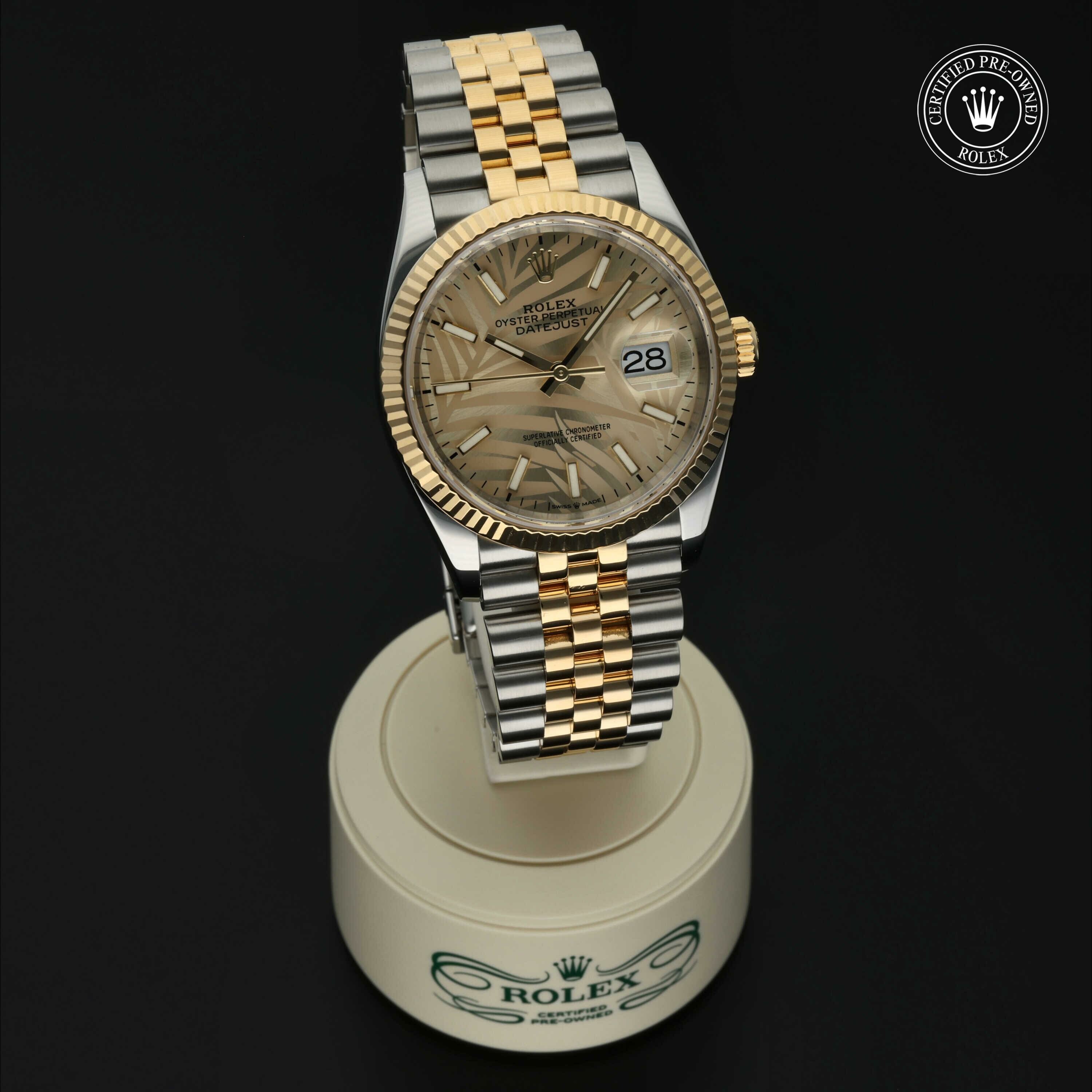 Rolex Datejust 36 en Rolesor 18 Carat Jaune M126233-0037 chez Hall of Time - vue 36