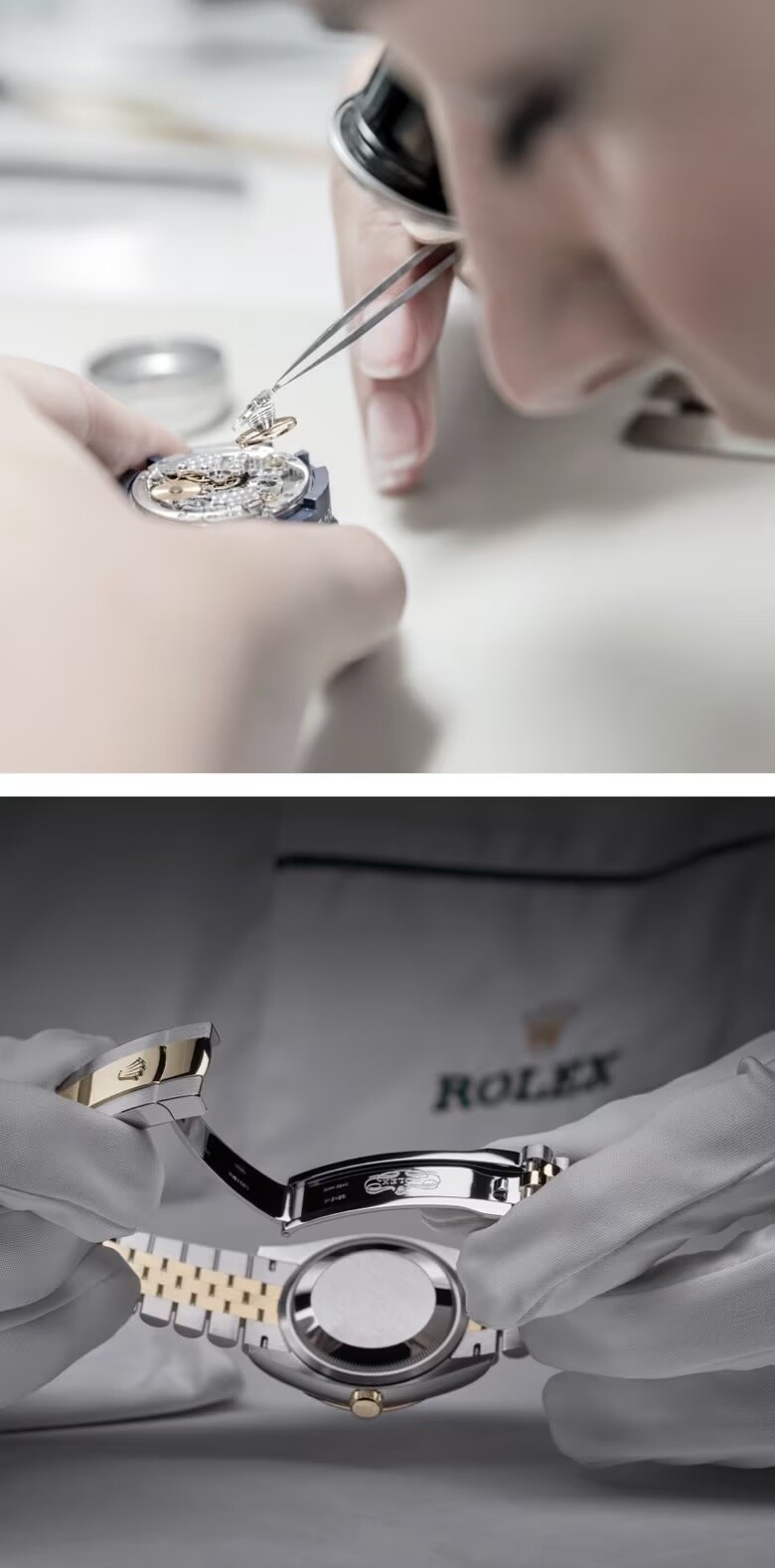 Le Monde de Rolex - Hardy