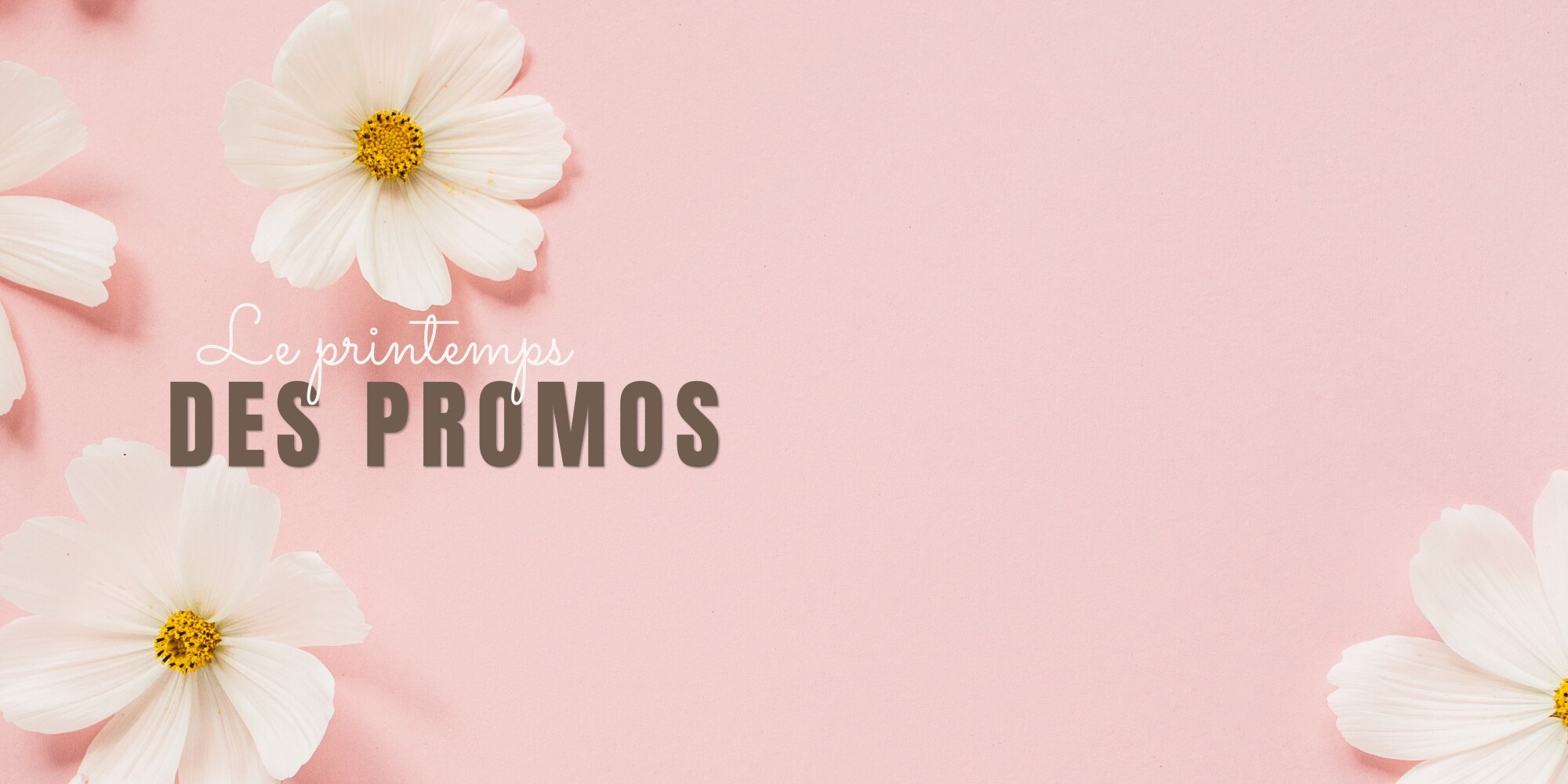 Offre de printemps