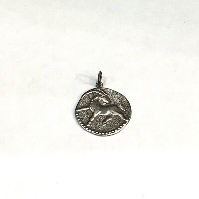 Médaille zodiaque argent Capricorne