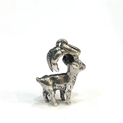 Pendentif signe du zodiaque Capricorne argent