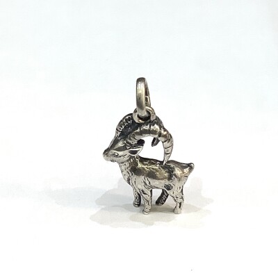 Pendentif signe du zodiaque Capricorne argent