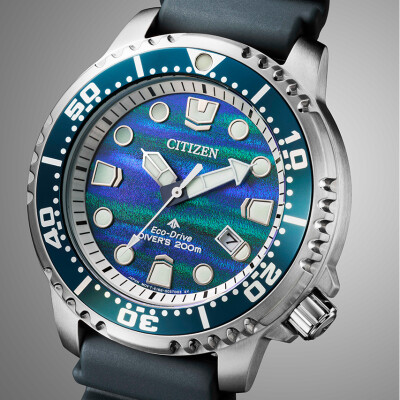 BN0167-09W Promaster edition limitée 8700 pieces monde