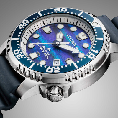 BN0167-09W Promaster edition limitée 8700 pieces monde