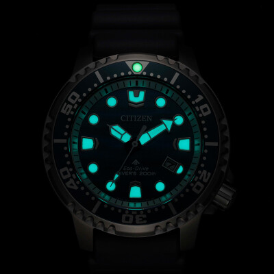 BN0167-09W Promaster edition limitée 8700 pieces monde