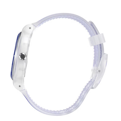 Montre Swatch Essentials SO29K400