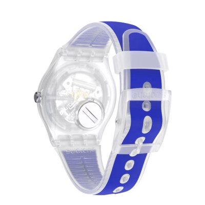 Montre Swatch Essentials SO29K400