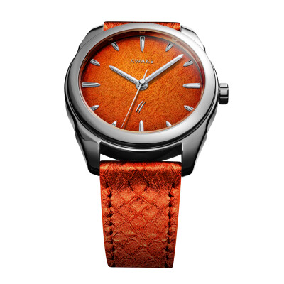 AWAKE Son Mai Jurassic Watch T-REX Edition