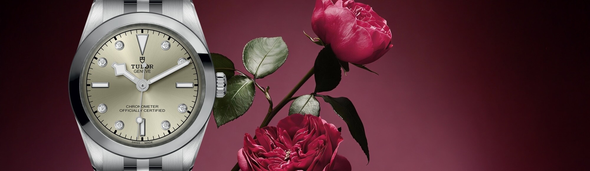 Montre de luxe TUDOR