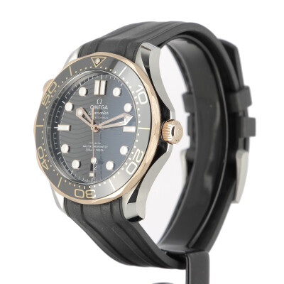 Seamaster Diver 300M