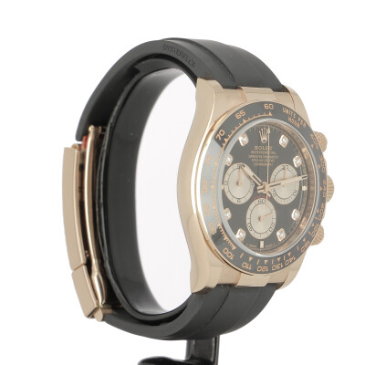 Daytona or rose