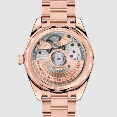 Montre OMEGA Seamaster Aqua Terra Shades