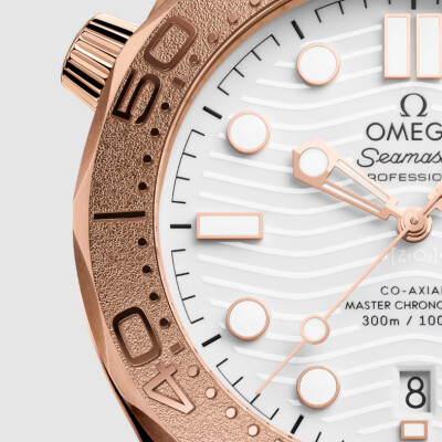 Montre OMEGA Seamaster Diver 300m