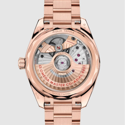 Montre OMEGA Seamaster Aqua Terra Shades