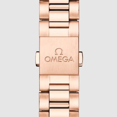 Montre OMEGA Seamaster Aqua Terra Shades